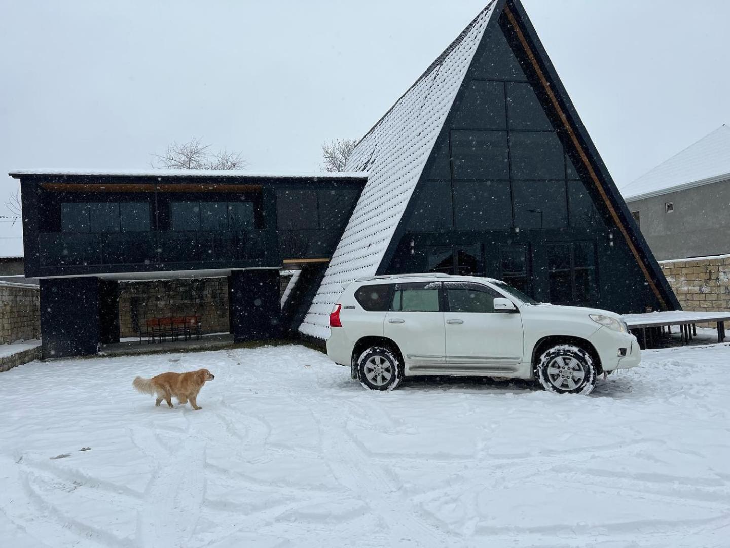 Qafqaz Wood Chalet Габала Екстер'єр фото